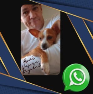 Comarca Lagunera Online Contacto via WhatsApp con René Nájera Digital